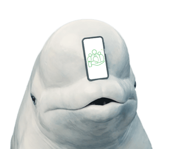 beluga